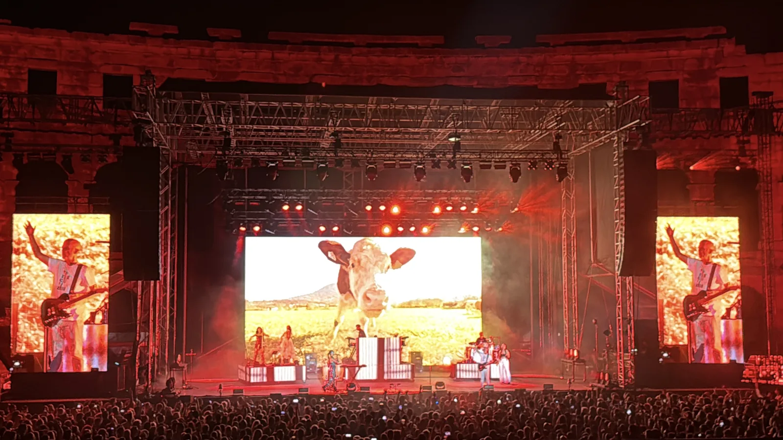 A cow filling the screen behind the stage
