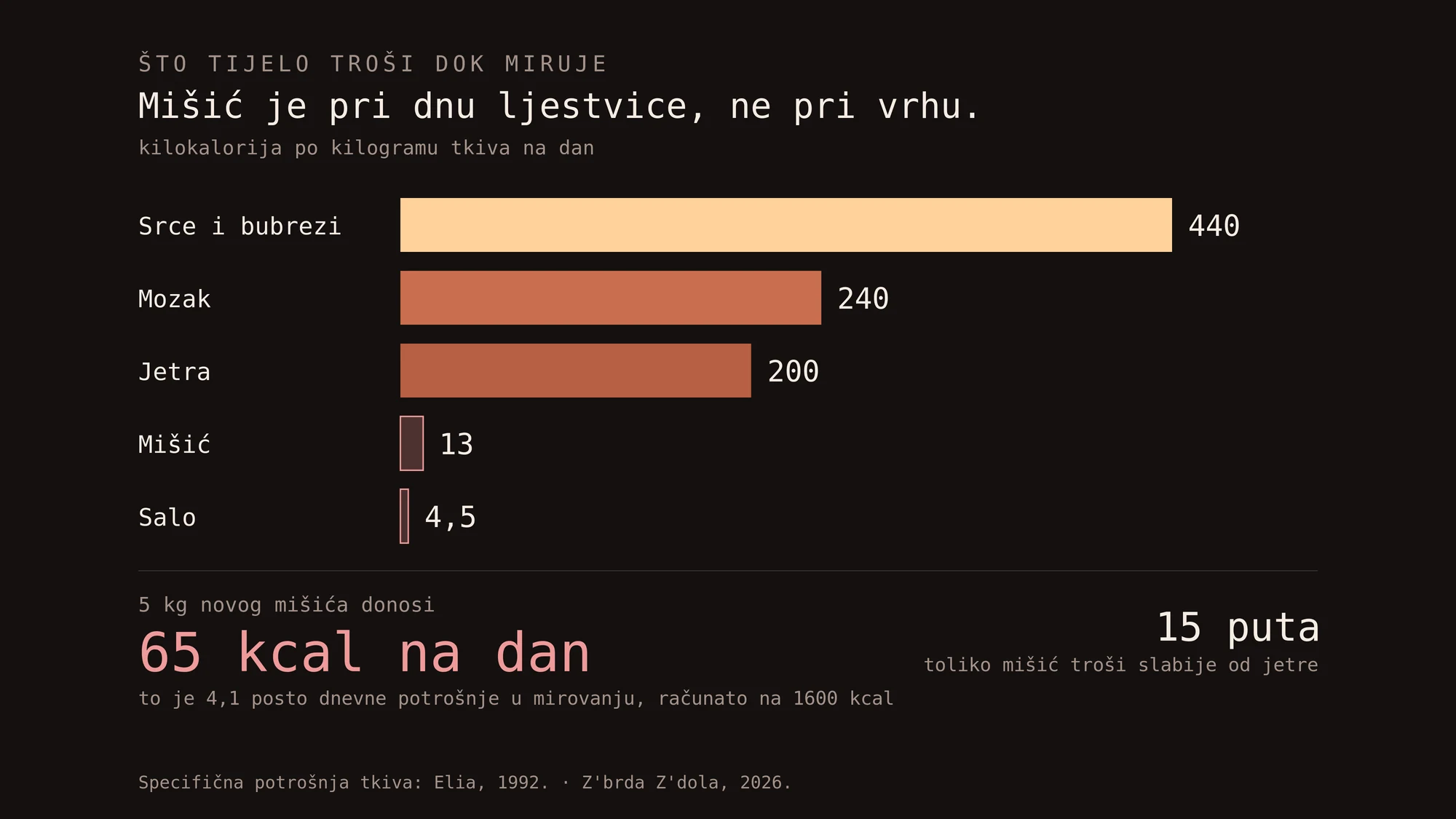 Koliko koje tkivo troši dok miruje, po kilogramu na dan. Naša grafika.